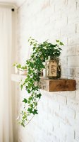 Trailing ivy plant in a glass jar on a rustic wooden shelf against a white brick wall, cozy home decor interior design concept.