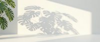 Monstera plant leaf shadow cast on white wall, creating natural light and shade pattern for interior design and botanical decor projects.
