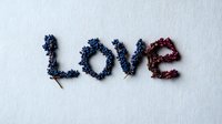 Word LOVE spelled with tiny blue and burgundy dried flowers on white textured background, romantic minimalist composition for valentines day cards and wedding designs.