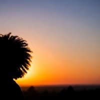 Silhouette of palm tree against vibrant orange and purple sunset sky over landscape horizon creating peaceful tropical evening atmosphere.