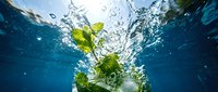 Fresh mint leaves splashing into crystal clear blue water creating dynamic bubbles and ripples for refreshing beverage concepts and summer drink photography.