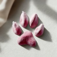 Pink paw print shape cast in shadow on white surface creates minimalist pet-themed composition with soft gradient and textured appearance.