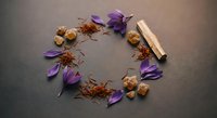 Circular arrangement of purple flower petals, walnuts, cinnamon sticks and spices on dark surface for natural wellness and aromatherapy concepts.