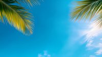 Tropical paradise with palm tree leaves framing bright blue sky and sunlight creating perfect summer vacation atmosphere for travel designs.