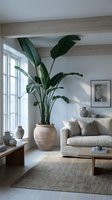 Modern Scandinavian living room with large bird of paradise plant in terracotta pot, neutral sofa, wooden beams, natural light and minimalist decor.