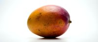 Fresh ripe mango with golden-red skin and natural spots isolated on white background, ready for food and beverage design projects.