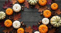 Autumn harvest display with orange white green pumpkins gourds maple leaves acorns pine cones arranged on rustic dark wooden background for seasonal decoration.