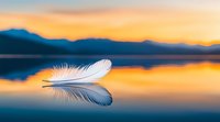 White feather floating on calm lake water surface reflecting golden sunset sky and mountain silhouettes in background, creating peaceful nature scene.