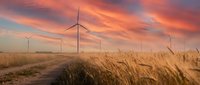 Wind turbines in golden wheat field at sunset with dramatic orange and pink sky creating renewable energy landscape for sustainable power generation.