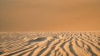Desert sand dunes with rippled texture under warm golden sunset light creating natural patterns and shadows for travel and nature concepts.