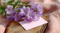 Delicate purple spring flowers laying on blank white card atop rustic wooden slice, creating romantic composition for wedding stationery or nature-inspired greeting cards.