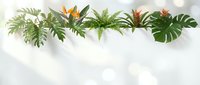 Tropical leaves and bird of paradise flowers hanging on rope against white background. Natural botanical decoration for interior design projects.