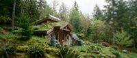 Rustic wooden cabin nestled on moss-covered hillside surrounded by dense forest and evergreen trees, ideal for nature, travel, and architectural design projects.