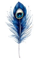 Isolated blue peacock feather with ornate eye pattern and delicate barbs on white background, ready for design projects, textiles, and decorative applications.