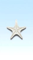 Single white starfish isolated on light blue background for marine themed designs and coastal decor projects.