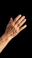 Aged hand with wrinkles and age spots isolated on transparent background, ready for medical, healthcare, aging awareness, educational materials, and design projects including print-on-demand and clipart.