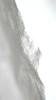Close-up of delicate lace fabric edge with intricate threadwork detail against soft white background. Suitable for fashion, textile, and wedding design projects.