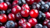 Fresh ripe cranberries and blueberries macro background. Natural organic berries texture with water drops for healthy eating and cooking.