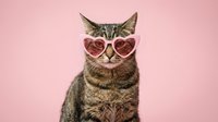 Adorable tabby cat wearing pink heart-shaped sunglasses on pastel background for Valentine's Day greeting cards and romantic pet photography.