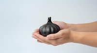 Black garlic held in hands against white background, isolated produce for culinary and food styling projects.
