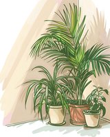 Minimalist illustration of potted houseplants featuring palm and tropical foliage in ceramic containers casting soft shadows against beige wall. For home decor prints.