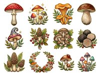 Mushroom and toadstool collection with various species, foliage, and botanical elements. Isolated hand-drawn illustrations on white background, suitable for design projects, educational materials, and decorative applications.