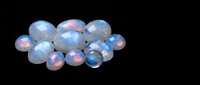 Collection of luminous opal gemstones with iridescent rainbow fire displaying natural play of color on black background for jewelry design.