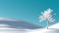 Solitary frost-covered tree standing in pristine snow drifts against turquoise winter sky creating serene minimalist landscape for seasonal designs.