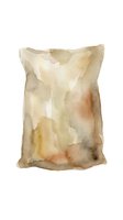 Crumpled kraft paper bag with torn edges and weathered surface featuring warm earth tones, isolated on white background for design and packaging projects.
