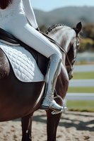 Equestrian saddle and stirrup on brown horse with white padding, ready for riding at outdoor arena or ranch facility.