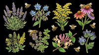 Wildflowers and honeybees collection isolated on transparent background. Ready for t-shirt design, clipart, stickers, print-on-demand products, and sublimation projects.