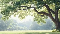 Sunlight streaming through majestic oak tree branches creates ethereal morning atmosphere with misty green meadow and soft natural backlight in summer forest.