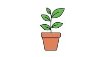 Small green plant growing in terracotta pot isolated on white background for eco-friendly design projects and environmental concepts.