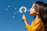Young Asian girl in yellow sweater blowing dandelion seeds against bright blue sky, creating magical floating wishes in sunlight. Childhood joy and wonder.