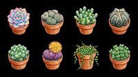Potted succulents and cacti collection isolated on transparent background, ready for t-shirt design, clipart, stickers, print-on-demand products and sublimation projects.