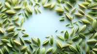 Fresh green fennel seeds scattered in circular pattern on light blue background creating natural frame with copy space in center for text placement.