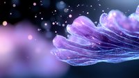 Ethereal purple jellyfish tentacles with glowing particles and bokeh effects in deep water create dreamy underwater atmosphere against dark background.