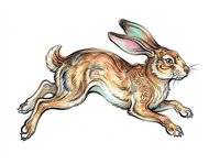 Leaping hare with decorative swirl details in warm earthy tones, isolated on transparent background. Great for t-shirt design, stickers, clipart, and print on demand.