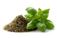 Fresh green basil leaves next to pile of dried herbs on white background, culinary ingredient for Mediterranean cuisine.