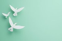 White origami birds flying on mint green background, symbolizing freedom, peace, and hope for greeting cards and inspirational designs.