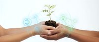 Hands holding soil with seedling and eco icons representing sustainable growth and environmental responsibility for business concepts.