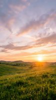 Golden sunrise illuminates rolling green hills with wildflowers and distant mountains under dramatic clouds. Perfect for nature, travel, and landscape design projects.