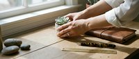 Woman hands holding small succulent plant on wooden desk with leather notebook and brass ruler in natural window light for mindful workspace design.