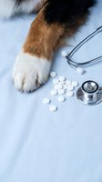 Dog paw with stethoscope and white pills on medical table for veterinary healthcare and pet medicine treatment concepts.