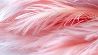 Soft pink feathers creating delicate texture and pattern background with gentle movement and flow. Macro photography reveals intricate details and light airy feel.