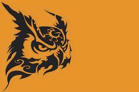 Stylized black owl head silhouette with tribal pattern elements on orange background, fierce predator eye detail creates dramatic contrast for logos and tattoo designs.