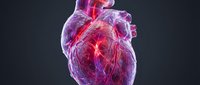 Anatomical human heart with glowing red arteries and purple veins on dark background for medical education and healthcare presentations.