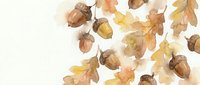 Watercolor autumn oak leaves and acorns scattered on white background. Fall foliage botanical illustration for seasonal designs and nature projects.
