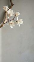 White magnolia flowers blooming on natural branch against neutral beige wall background for spring home decor and botanical interior design projects.