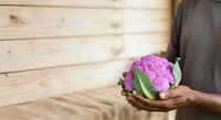 Purple cauliflower held in hands against wooden background. Fresh organic vegetable for cooking, healthy eating, farmers market, and food photography.